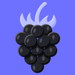 BerryPoints logo